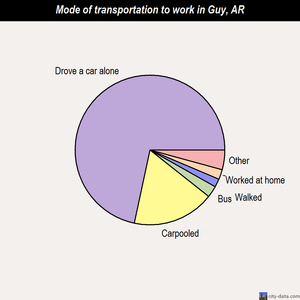 Guy mode of transportation to work chart