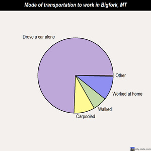 Bigfork mode of transportation to work chart