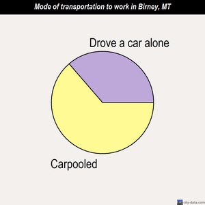 Birney mode of transportation to work chart