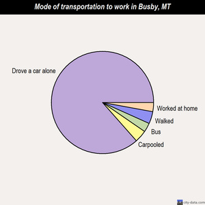 Busby mode of transportation to work chart