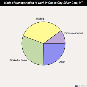 Cooke City-Silver Gate mode of transportation to work chart