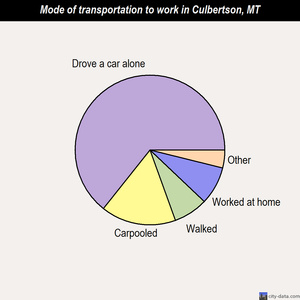 Culbertson mode of transportation to work chart