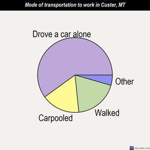 Custer mode of transportation to work chart
