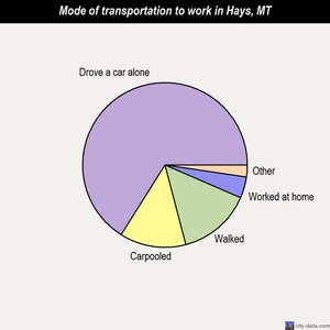 Hays mode of transportation to work chart