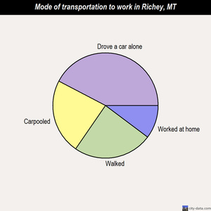 Richey mode of transportation to work chart