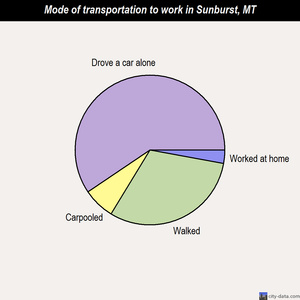 Sunburst mode of transportation to work chart