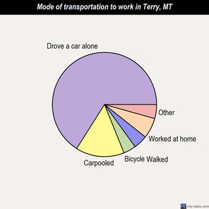 Terry mode of transportation to work chart