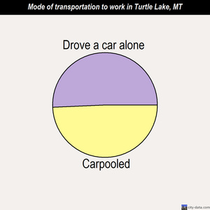 Turtle Lake mode of transportation to work chart