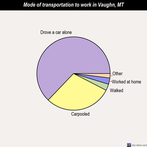 Vaughn mode of transportation to work chart