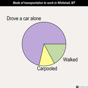 Whitehall mode of transportation to work chart