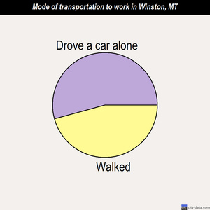 Winston mode of transportation to work chart