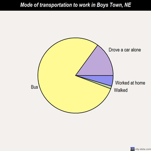 Boys Town mode of transportation to work chart