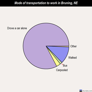 Bruning mode of transportation to work chart