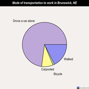 Brunswick mode of transportation to work chart