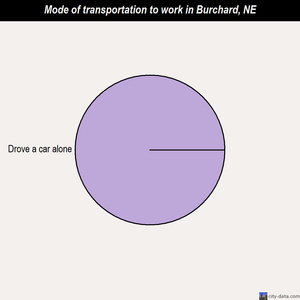 Burchard mode of transportation to work chart