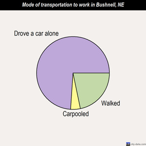 Bushnell mode of transportation to work chart