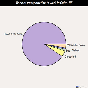 Cairo mode of transportation to work chart
