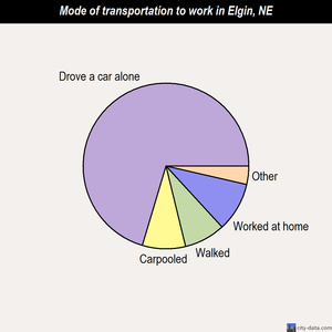 Elgin mode of transportation to work chart