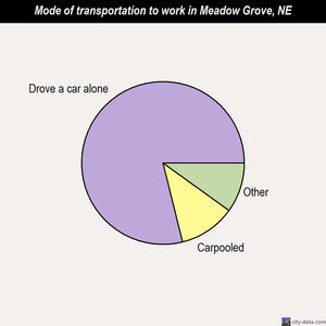 Meadow Grove mode of transportation to work chart