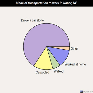 Naper mode of transportation to work chart