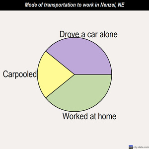 Nenzel mode of transportation to work chart