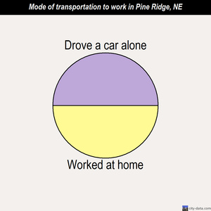 Pine Ridge mode of transportation to work chart