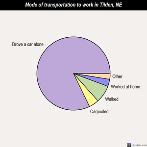 Tilden mode of transportation to work chart