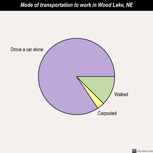 Wood Lake mode of transportation to work chart