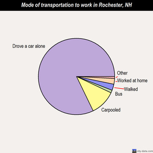 Rochester mode of transportation to work chart