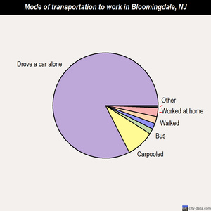Bloomingdale mode of transportation to work chart