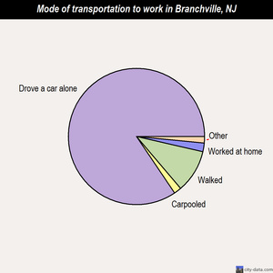 Branchville mode of transportation to work chart