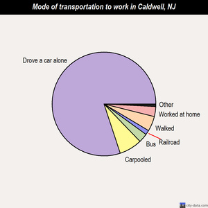 Caldwell mode of transportation to work chart