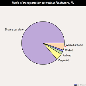 Fieldsboro mode of transportation to work chart