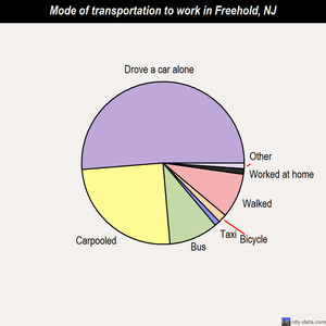 Freehold mode of transportation to work chart