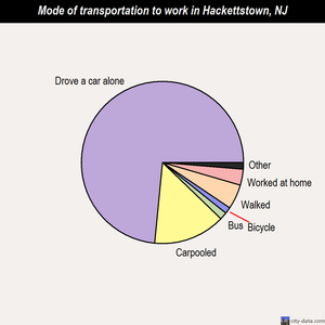 Hackettstown mode of transportation to work chart