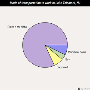 Lake Telemark mode of transportation to work chart