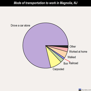 Magnolia mode of transportation to work chart