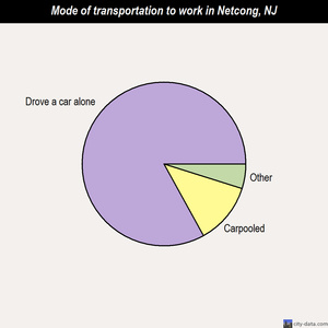 Netcong mode of transportation to work chart