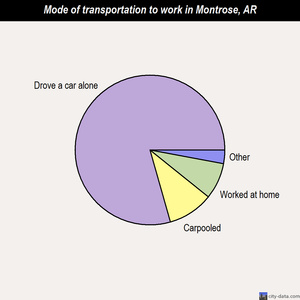 Montrose mode of transportation to work chart