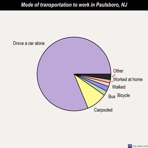 Paulsboro mode of transportation to work chart