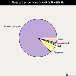 Pine Hill mode of transportation to work chart