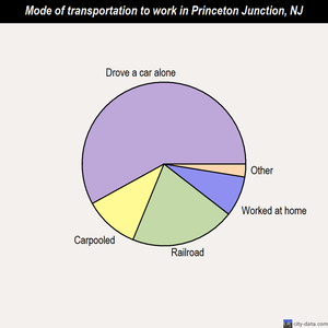Princeton Junction mode of transportation to work chart