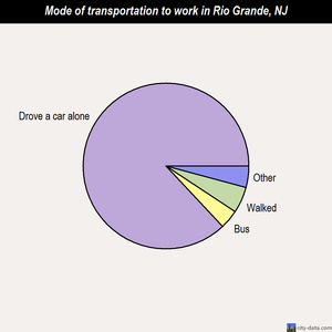 Rio Grande mode of transportation to work chart
