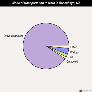 Rosenhayn mode of transportation to work chart