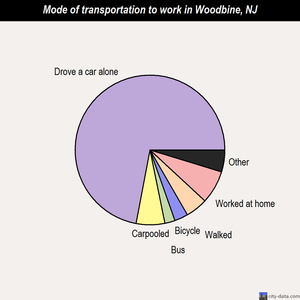 Woodbine mode of transportation to work chart