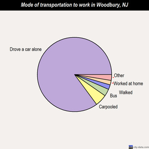 Woodbury mode of transportation to work chart
