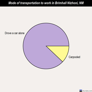 Brimhall Nizhoni mode of transportation to work chart