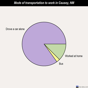 Causey mode of transportation to work chart