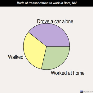 Dora mode of transportation to work chart