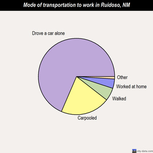 Ruidoso mode of transportation to work chart